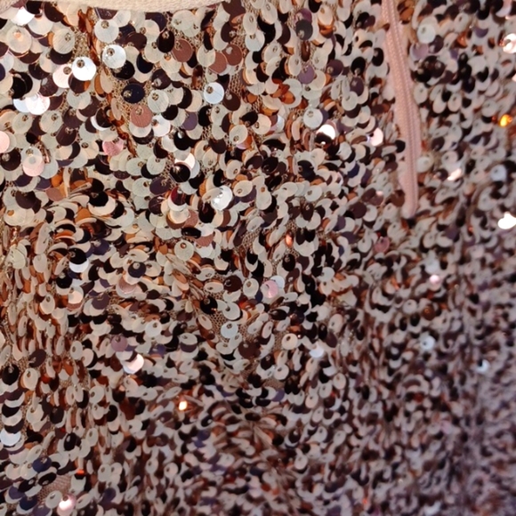 Suzi Chin for Maggy Boutique Champagne With Rast Gold Sequin Knee Length Dress - Picture 7 of 8